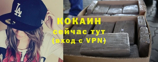 стафф Богородск