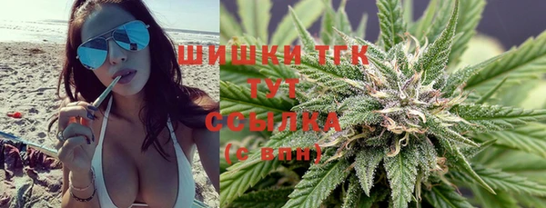 хмурый Богородицк