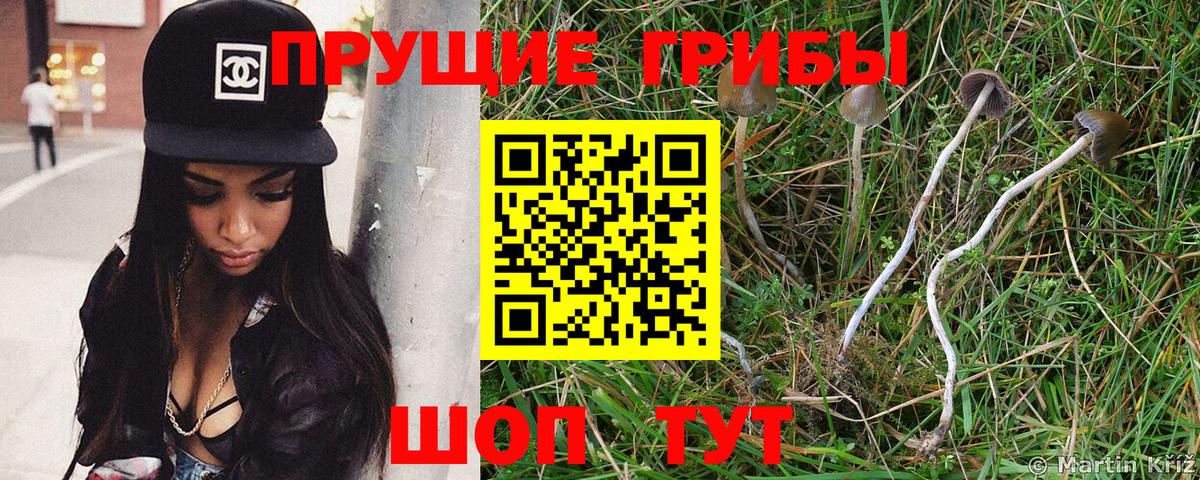Галлюциногенные грибы Magic Shrooms Сланцы